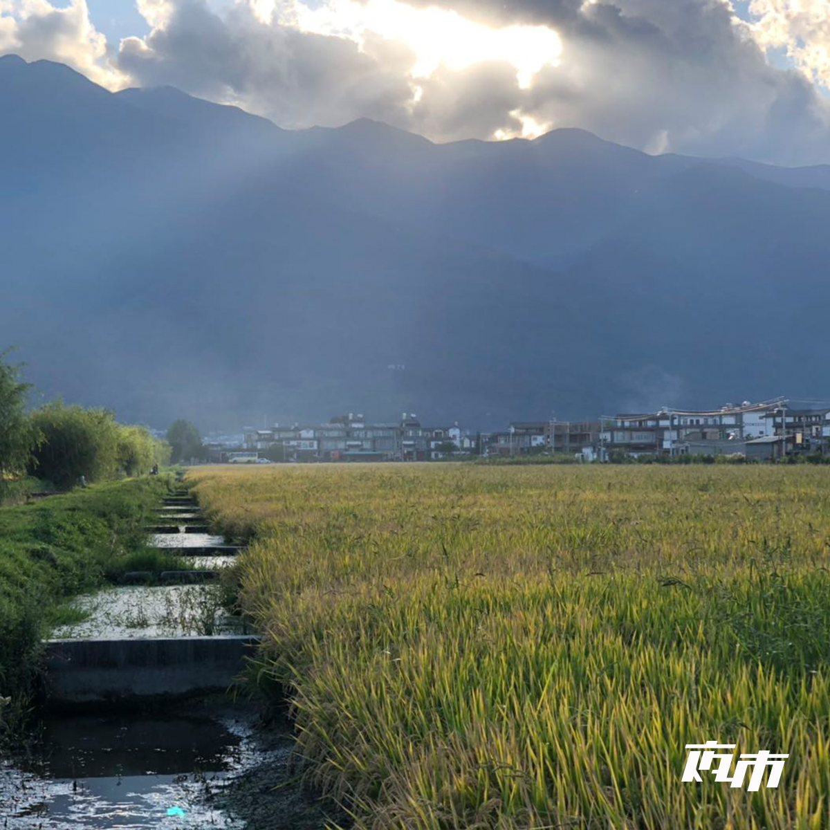 专栏测试专用链接