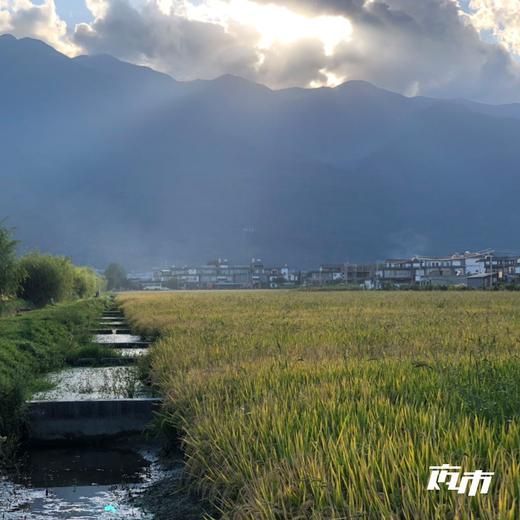 专栏测试专用链接 商品图0