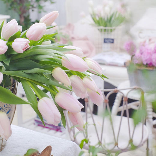 【周四团购】郁金香10枝/59.8元 2人拼团 商品图0