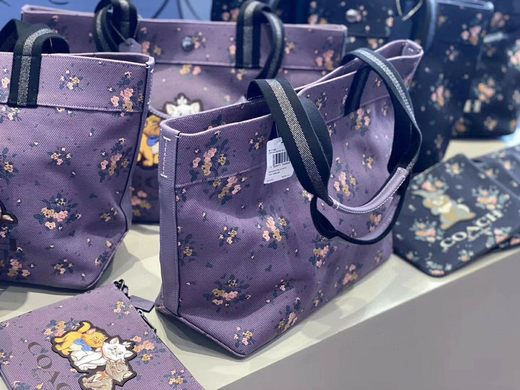 coach disney迪斯尼联名款 帆布托特包 小飞象太可爱了