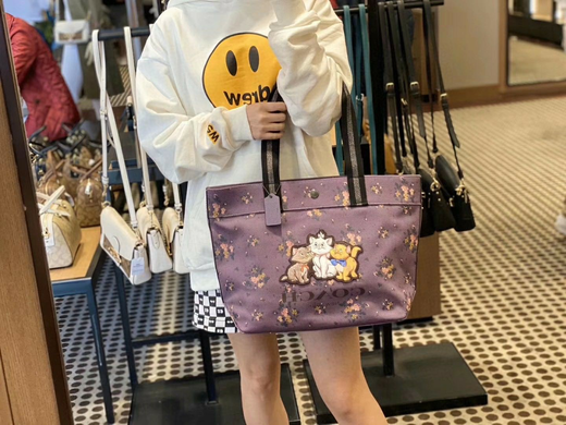 coach disney迪斯尼联名款 帆布托特包 小飞象太可爱了