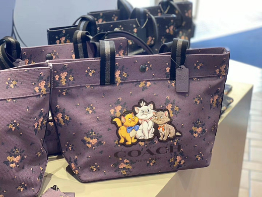 coach disney迪斯尼联名款 帆布托特包 小飞象太可爱了