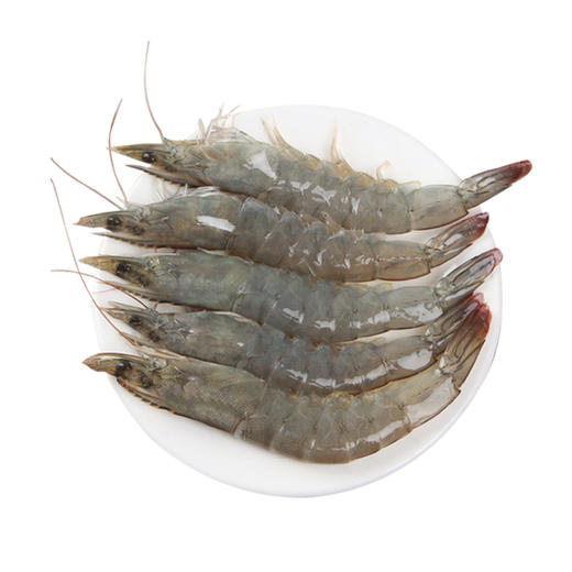 【安全配送】基围虾中号丨50/60丨净重1.4公斤 商品图0