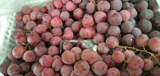 红提    500g/份 商品图1