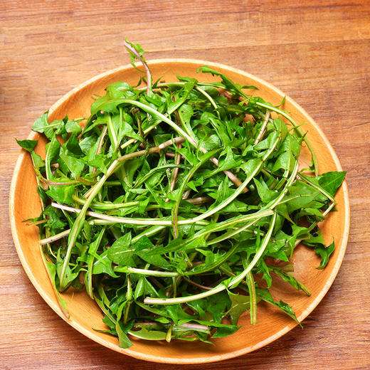 物本源有机蒲公英 商品图1