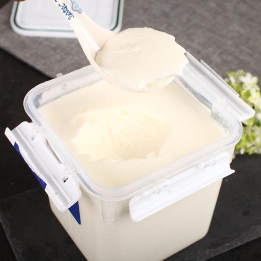 4】天润润康新疆网红牛奶全脂风味发酵乳1kg(酸奶)