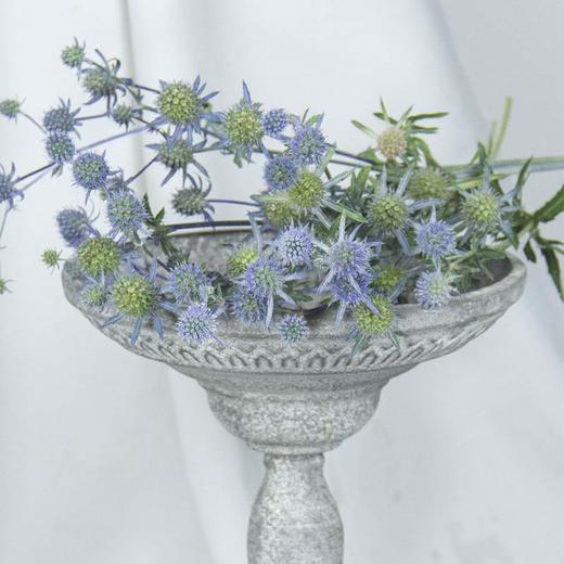 昆明鲜花情人果500克