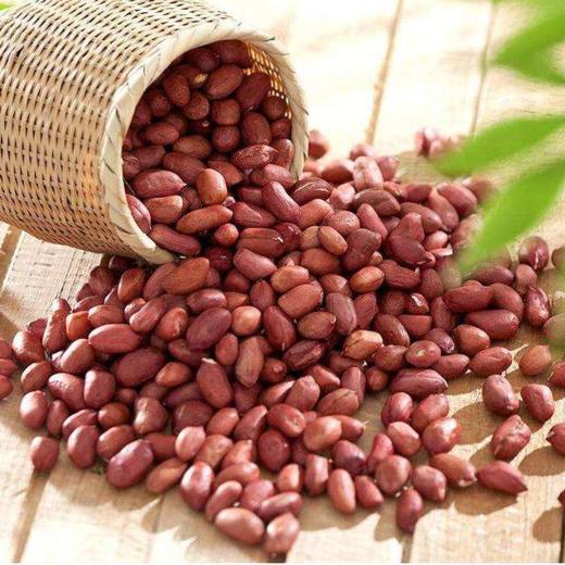 小花生（外采） 商品图0