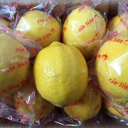 薄皮黄柠檬（单个装） 500g 商品图1