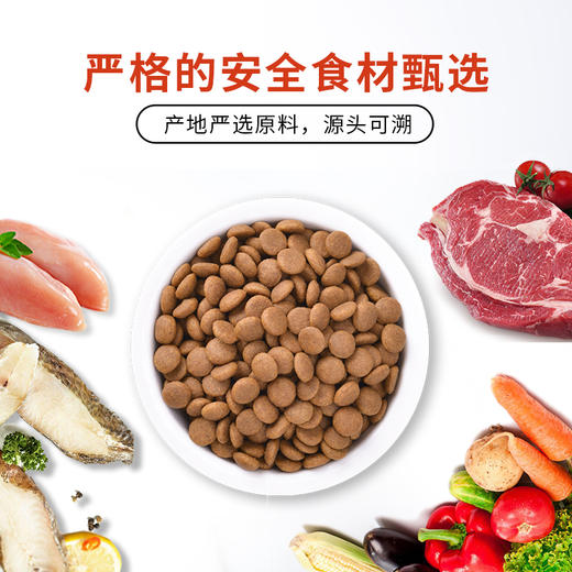 醇粹全价大型犬成犬粮15kg/小型犬高龄犬粮1.5kg*2 商品图3