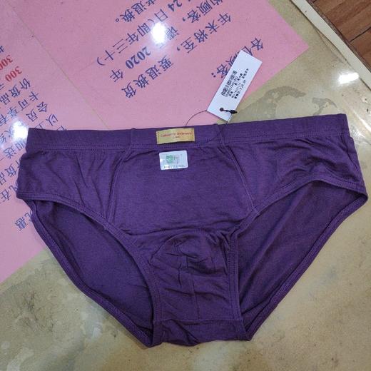男三角内裤 商品图4
