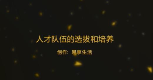 人才队伍的选拔和培养 商品图0