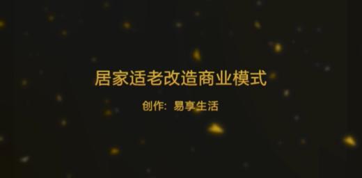 居家适老改造商业模式 商品图0