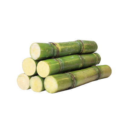 青皮甘蔗2棵/约12斤 商品图0