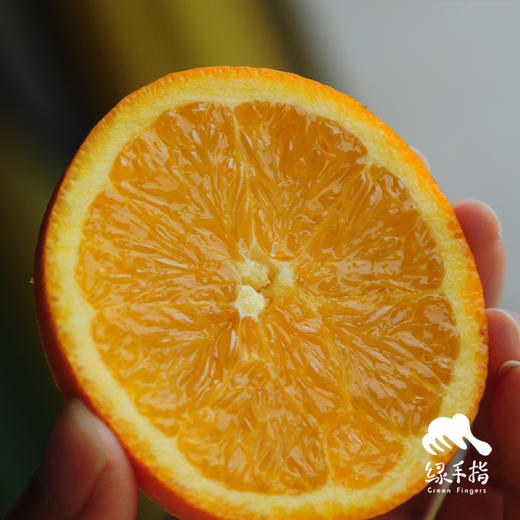 有机脐橙（纽荷尔） | 合作生产 *Organic navel orange | Coproduction 商品图0