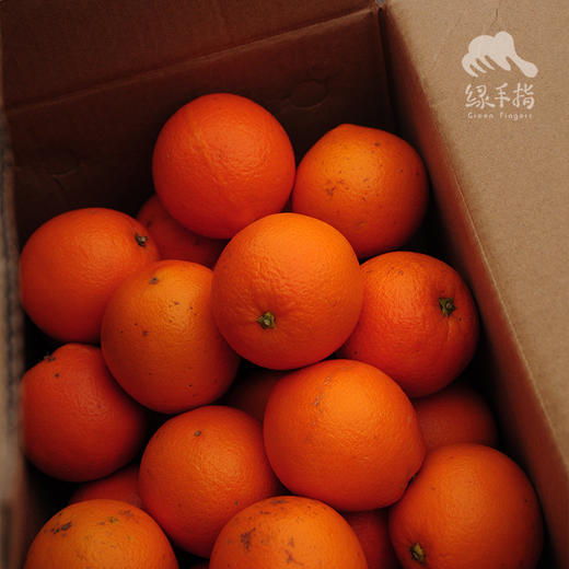 有机脐橙（纽荷尔） | 合作生产 *Organic navel orange | Coproduction 商品图4