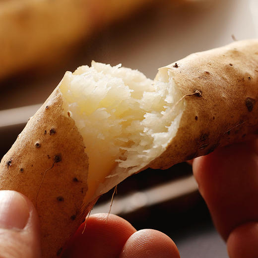 有机山药 商品图4