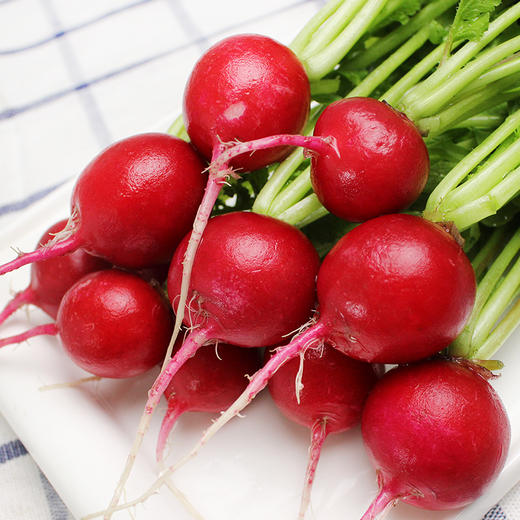 有机樱桃萝卜 商品图0