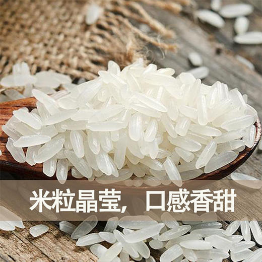 【新米上市】安东米富 稻渔米 5kg袋装大米 商品图2