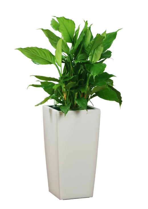 万缘合和03 商品图0