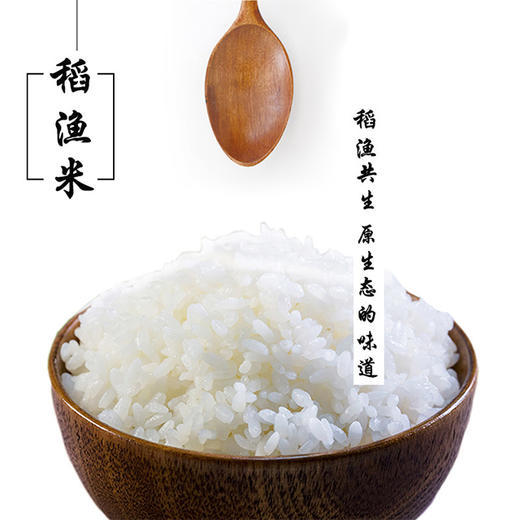 【新米上市】安东米富 稻渔米 5kg袋装大米 商品图3