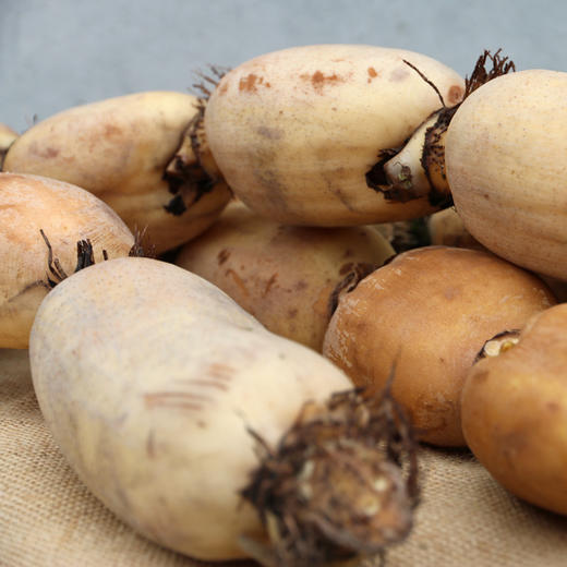 藕（严选）（±40g） 商品图1