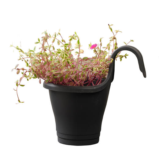 沉默的爱02 商品图0