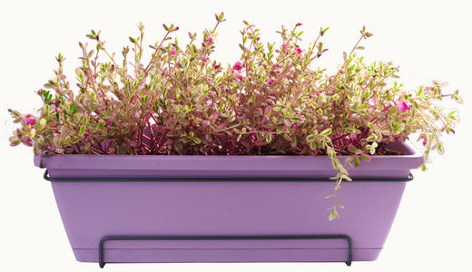 沉默的爱01 商品图0