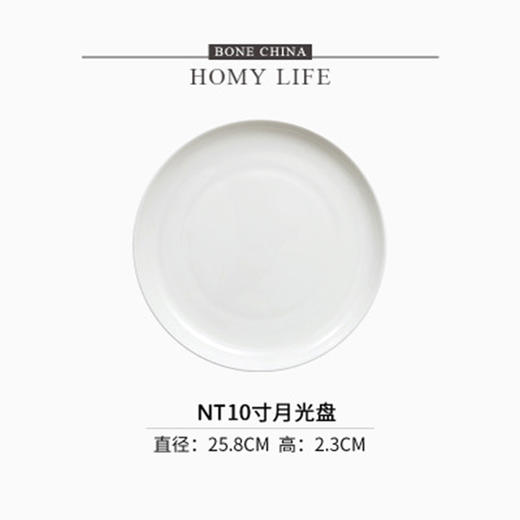 白玉10英寸月光浅盘 商品图0