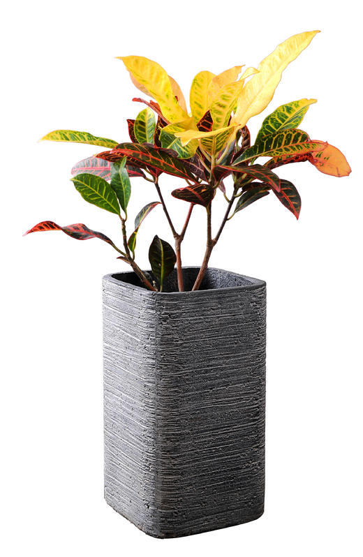 五彩斑斓04 商品图0