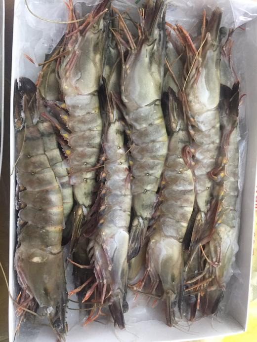 海鲜大虾黑虎虾草虾600g 多规格 商品图0