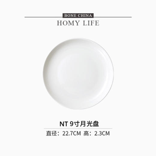 白玉9英寸月光浅盘 商品图0
