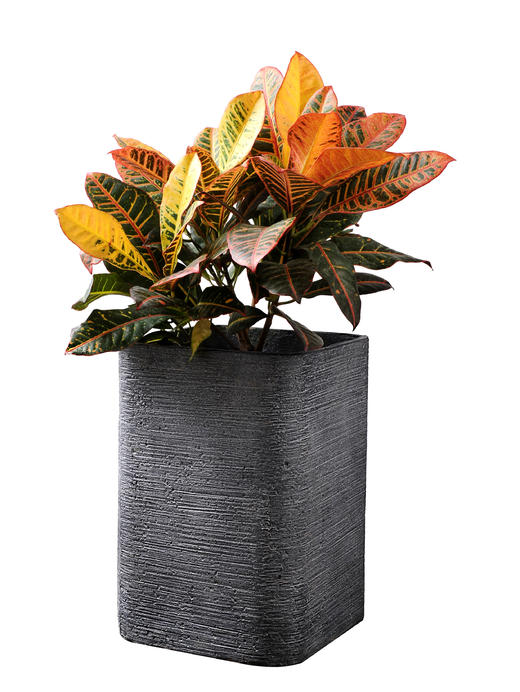 五彩斑斓05 商品图0