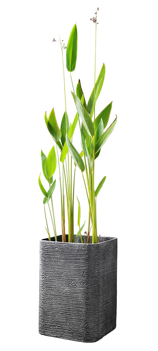 水天一色03 商品图0