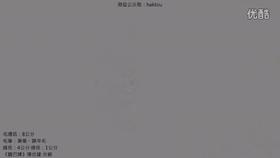 米芾《蜀素帖》11託殊。種種是靈物。相得