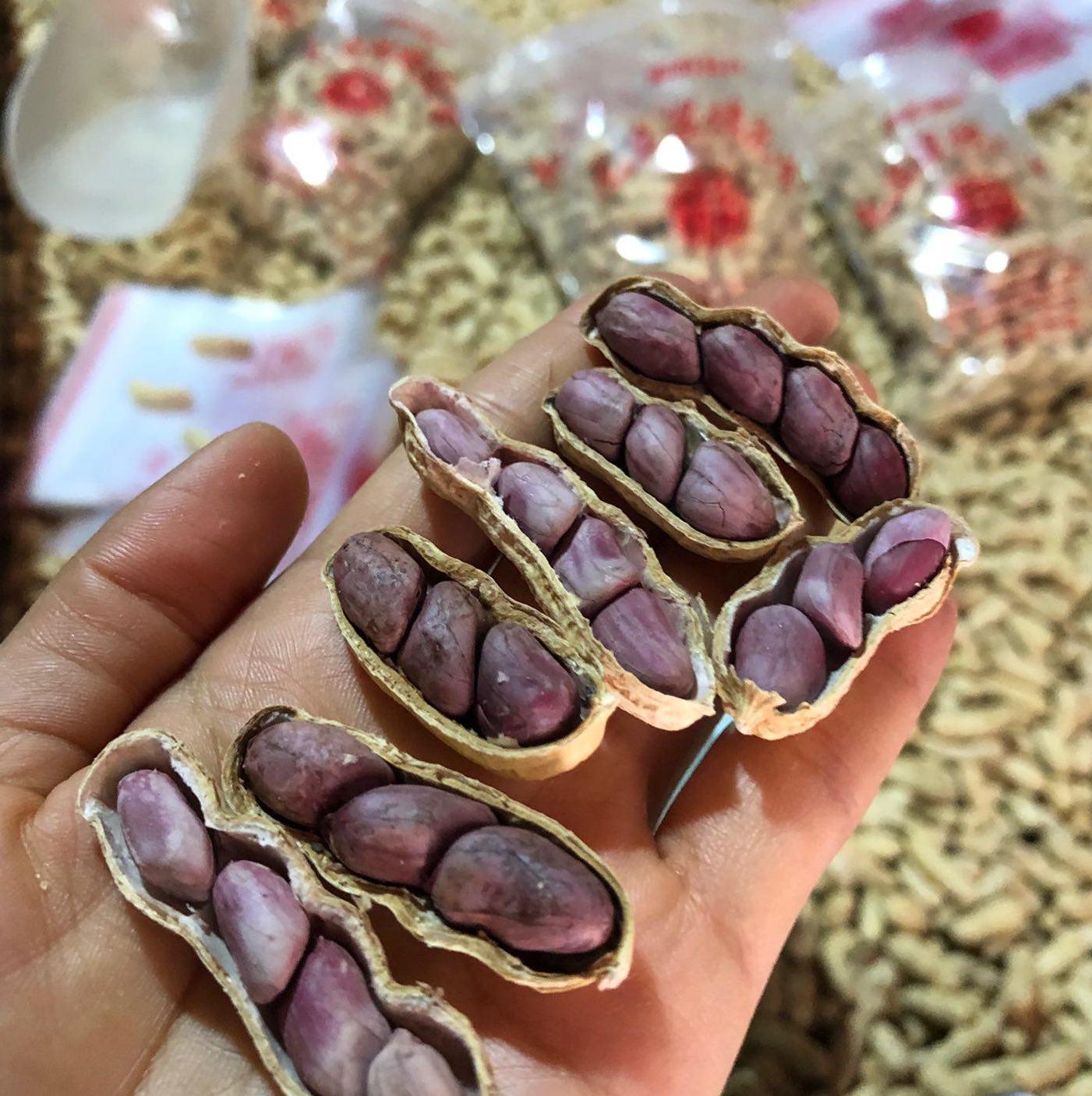 团成员   关注 g 私信 = 他的主页 他的相册 作品 3075 关注 310112