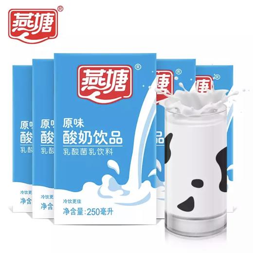 燕塘原味酸奶250ml新鲜发酵营养早餐伴侣 商品图2
