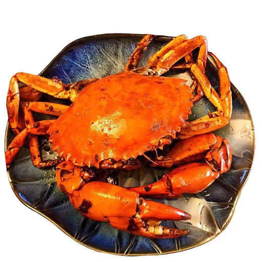 【大号非洲青蟹】 商品图2