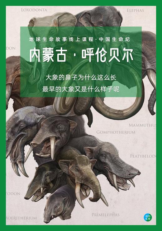 中国生命纪·呼伦贝尔DAY.1 商品图0