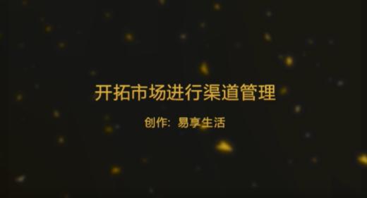 开拓市场进行渠道管理 商品图0