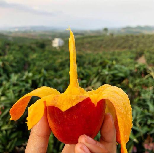 桂香芒（合作）（±50g） 商品图2