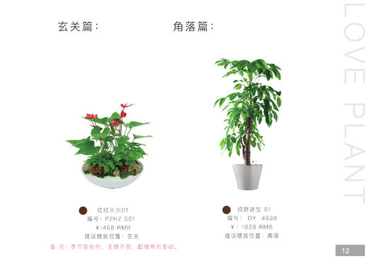 家庭套装养生型 商品图3