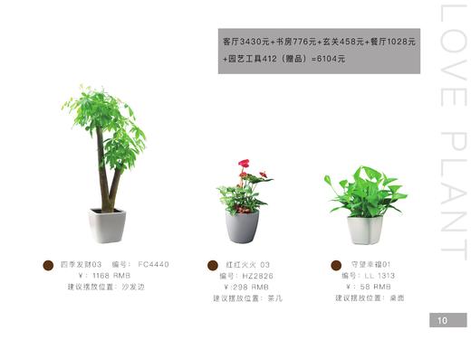 家庭套装养生型 商品图1