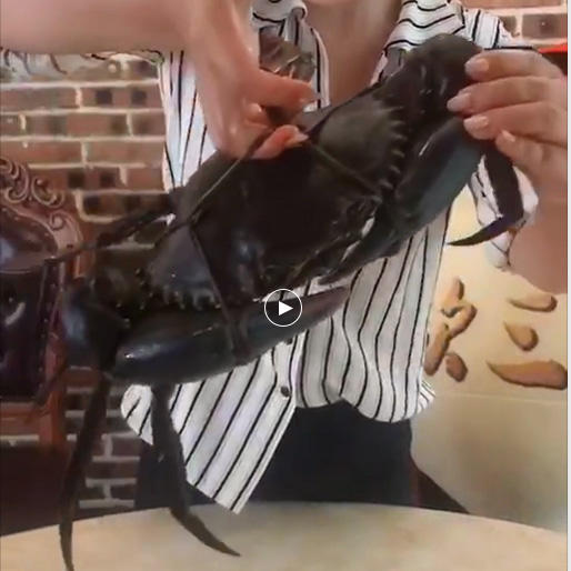 【斯里兰卡大青蟹】 商品图10