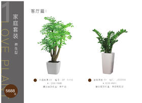 家庭套装养生型