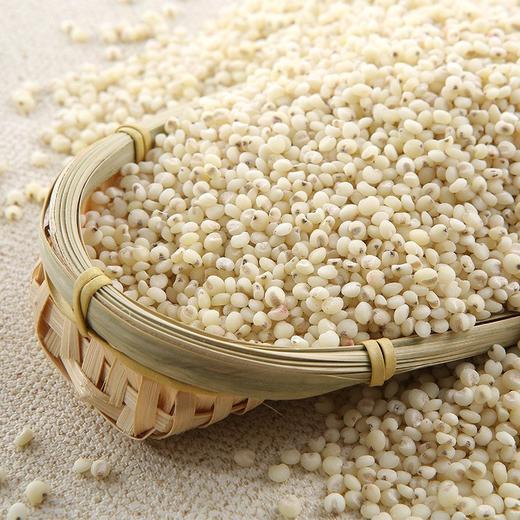高粱米（合作） 商品图1
