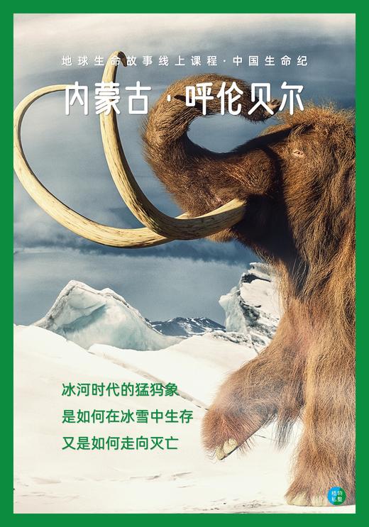 中国生命纪·呼伦贝尔DAY.2 商品图0