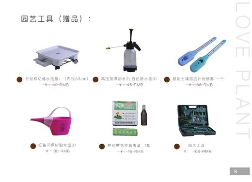 家庭套装经济型 商品图3