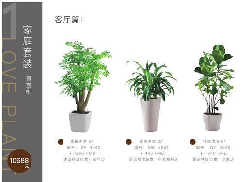 家庭套装尊享型 商品图0