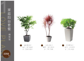 家庭阳台套餐精致型